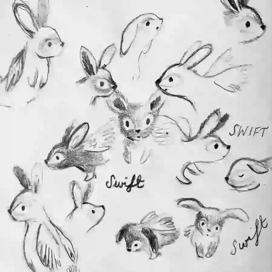 Pencil drawings of Swift, a fauna fairy rabbit from my book ‘The Fauna Fairies’ 